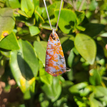 Load image into Gallery viewer, Wingate Pass Plume Agate Pendant