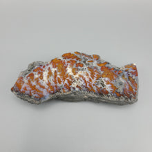 Load image into Gallery viewer, Wingate Pass Plume Agate polished specimen