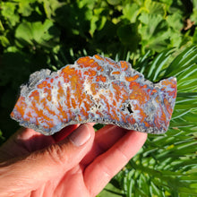 Load image into Gallery viewer, Wingate Pass Plume Agate polished specimen