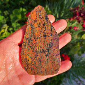 Northern California Speckled Hematite Orbicular Jasper